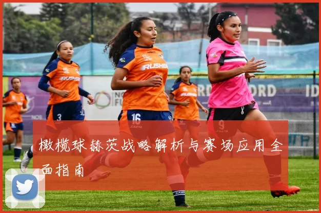 橄榄球赫茨战略解析与赛场应用全面指南