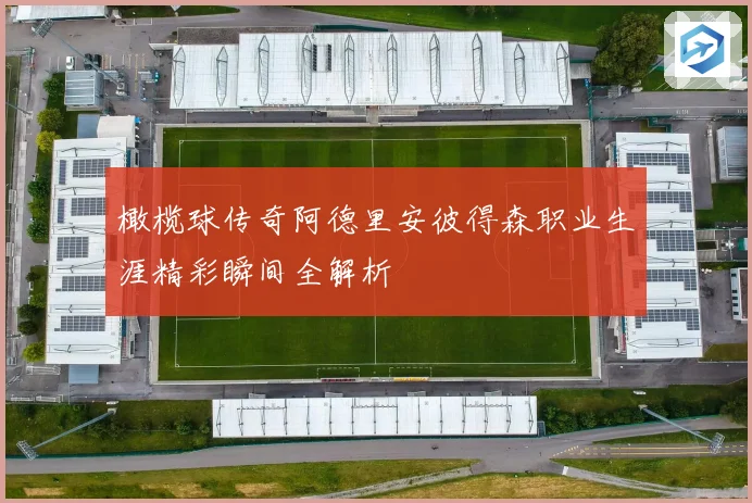 橄榄球传奇阿德里安彼得森职业生涯精彩瞬间全解析