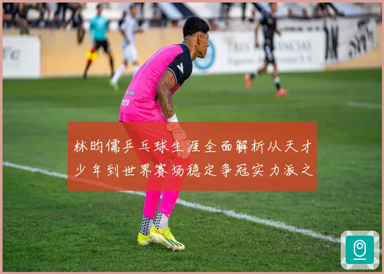 林昀儒乒乓球生涯全面解析从天才少年到世界赛场稳定争冠实力派之路