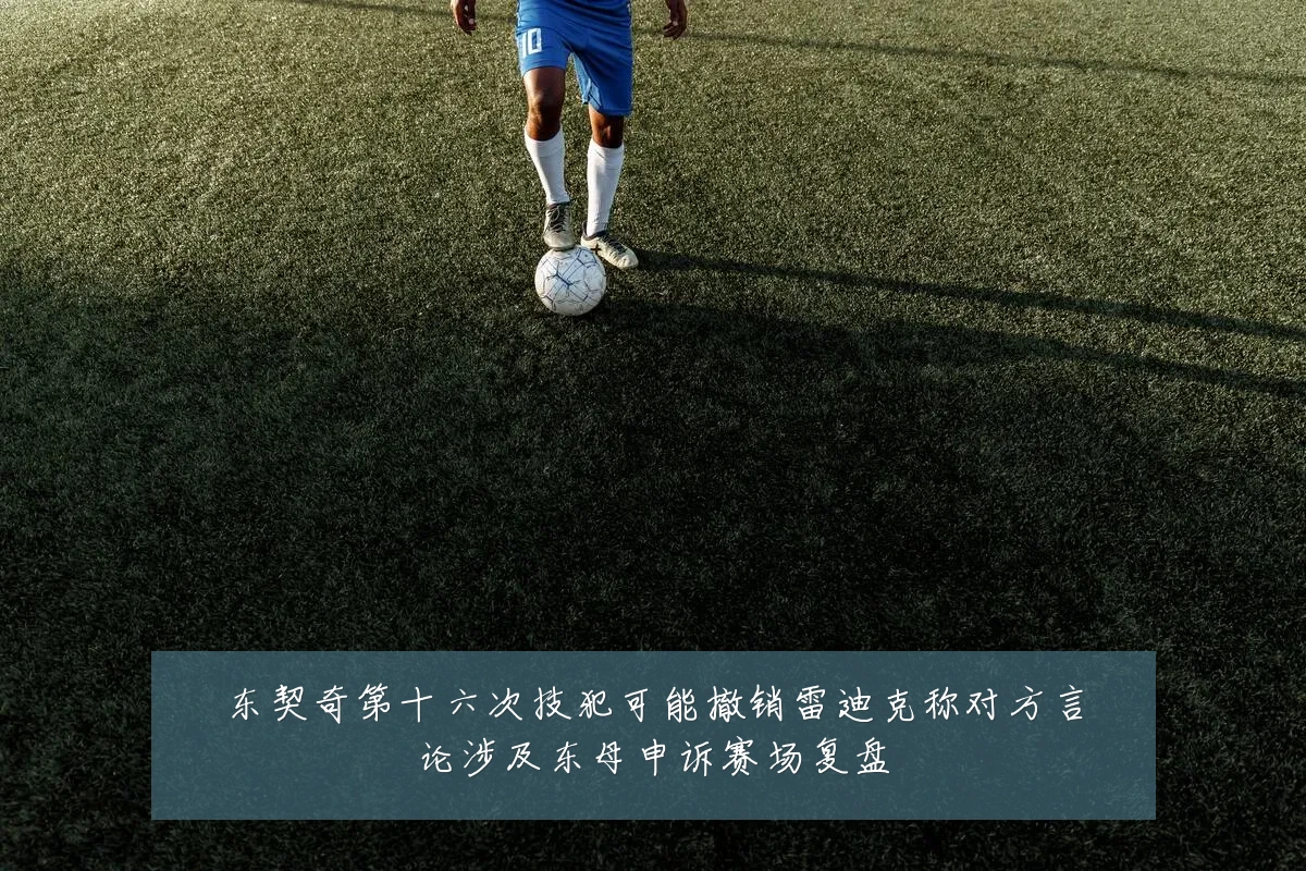 东契奇第十六次技犯可能撤销雷迪克称对方言论涉及东母申诉赛场复盘
